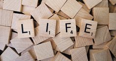 Life 1662879 960 720