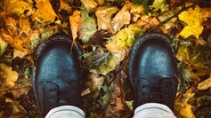 Fall%20to%20the%20ground%20nikola johnny mirkovic 1083413 unsplash